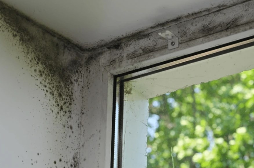 pomiar wilgoci i temperatury