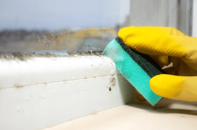 wilgoć i zagrzybiałe okna