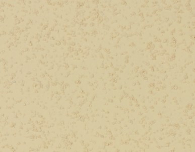 elewacyjna farba strukturalna