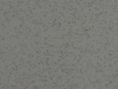 elewacyjna farba strukturalna