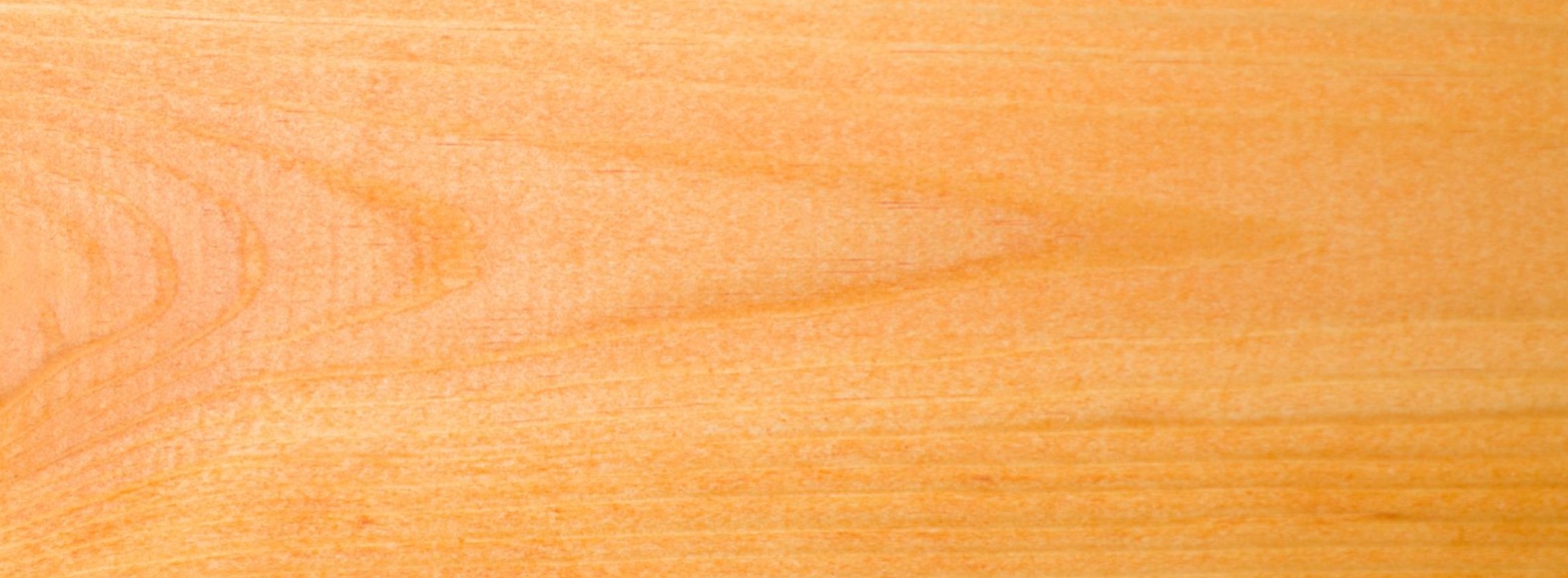 Lakierobejca powłokotwórcza Greinplast WLW 101 pina śródziemnomorska