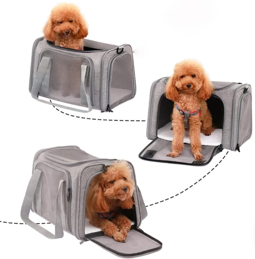 transporter dla zwierzat