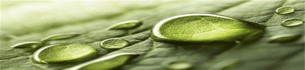 Zaawansowane systemy nawadniania w ogrodzie